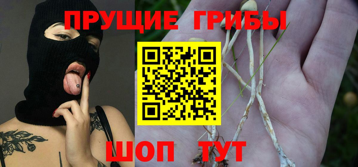 где купить наркоту  Вход с VPN  Строитель  Галлюциногенные грибы прущие грибы 